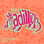 The armadillioh (feat. D Mazz) by Starry Mossbridge