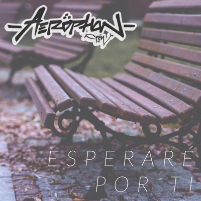 Esperaré por Ti - Single