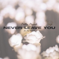NEVER LEAVE YOU (feat. Big Diamond) - Single - Matthew Muyunda