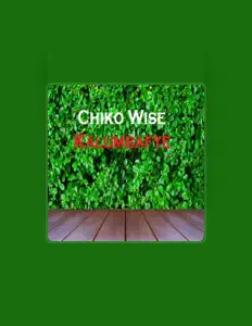 Chiko Wiseを聴いたり、ミュージックビデオを鑑賞したり、経歴やツアー日程などを確認したりしましょう！