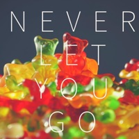 Never Let You Go (feat. reyes) - Single - Djmike