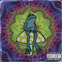 Liberty Caps - Single - Opollo Heights