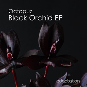 Black Orchid - Single