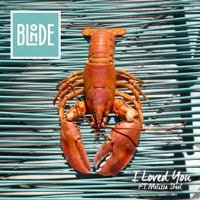 I Loved You (feat. Melissa Steel) - Single - Blonde