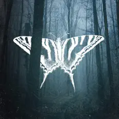 Mirror Lakeを聴いたり、ミュージックビデオを鑑賞したり、経歴やツアー日程などを確認したりしましょう！