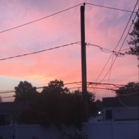 Gwikipedia - Single - shober