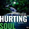 Hurting Soul (Mafia Natives Remix) [feat. Jimmi Straux]