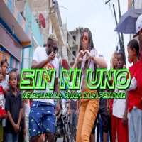 Sin Ni Uno (feat. La Peluche) - Single - Mr Black la Fama