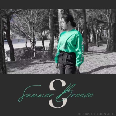 Summer Breeze - Single