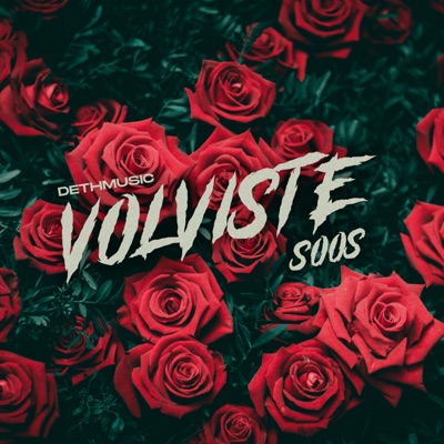Volviste - Single