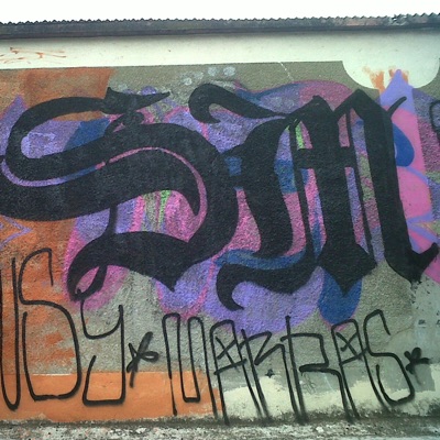 La Sm y la pinche VLF (feat. El Bto loko) - Single