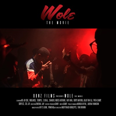Wole, Pt. 2 (feat. Worlasi, Kwesi Arthur, Shaker, Kay Ara, Temple & C-Real) - Single