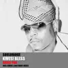 Guide You Pt.1 (Chujo Mix) [feat. Kwesi Bless]