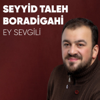 Qelbimdesen Sen - Seyyid Taleh Boradigahi