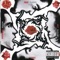 Blood Sugar Sex Magik (Deluxe Edition)