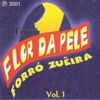 Forró Flor Da Pele - Vol.01