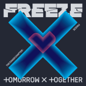 The Chaos Chapter : FREEZE cover