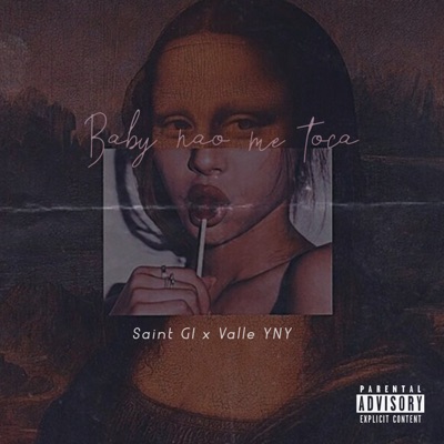 Baby Não Me Toca (feat. Valle YNY) - Single