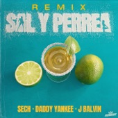 Sal y Perrea (Remix) artwork