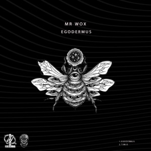 Egodermus - Single