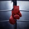 The Fighting Irishman - Sir Gracious lyrics