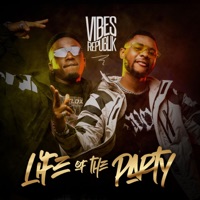 Life of the Party - Single - Vibes Republik