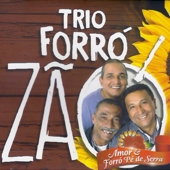Amor & Forró Pé De Serra - Trio Forrozão