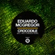 Crocodile Single