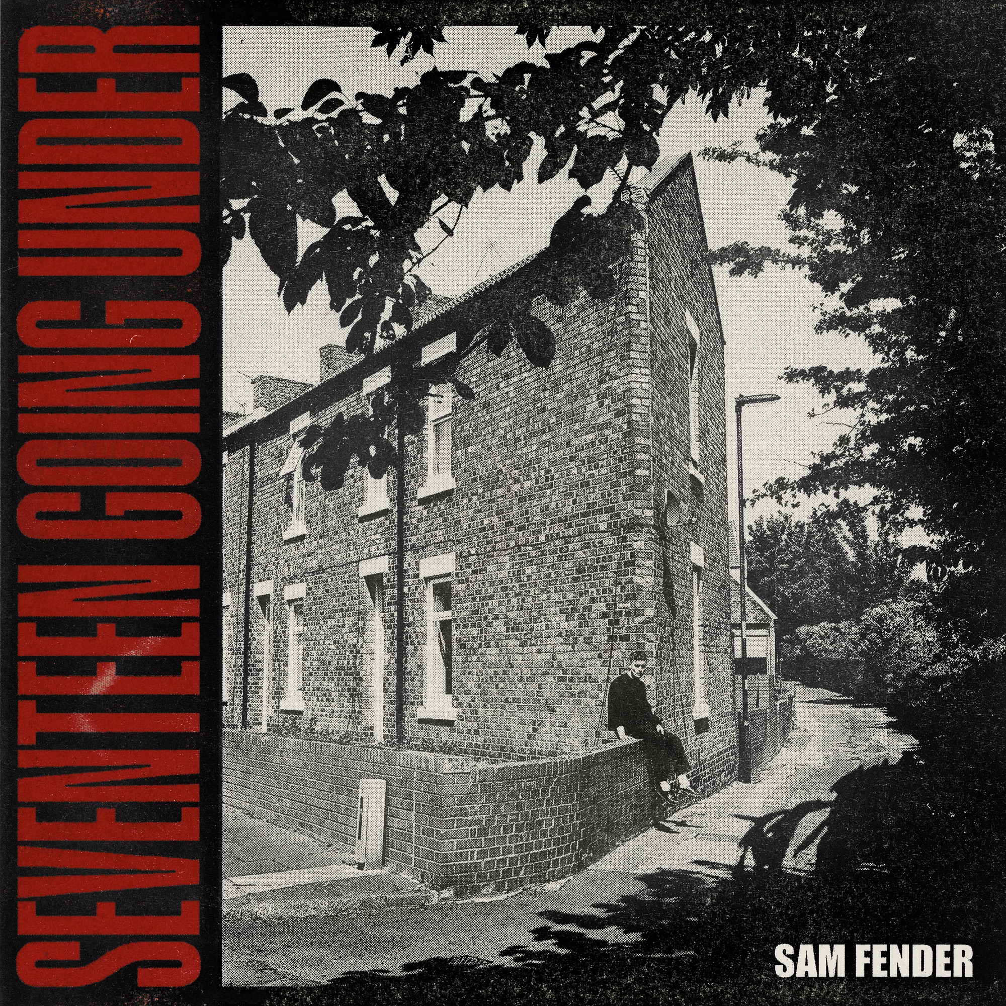 Sam Fender - Seventeen Going Under - Single