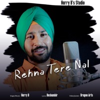 Rehna Tere Nal  Harry B - Single - Reshambir