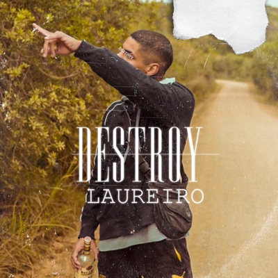 Destroy - Single