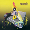 Beautiful Ones - Suede