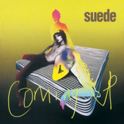 Trash - Suede