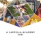 Diamonds (Opulence) - A Cappella Academy lyrics