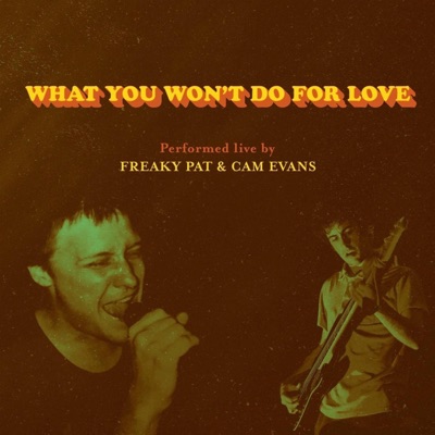 What You Won't Do For Love (Live) [Live] - Single