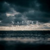 Nature Sounds Rain & Thunder Ambience - Single