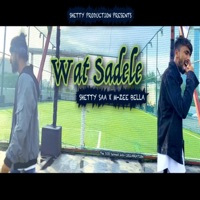 Wat Sadele (feat. Mzee Bella) - Single - Shetty Saa