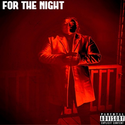 For the Night - Single