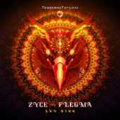 Sun Bird (Zyce vs. Flegma)