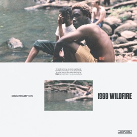 1999 WILDFIRE BROCKHAMPTON