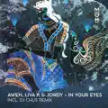 IN YOUR EYES