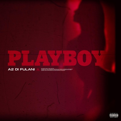 PlayBoy - Single