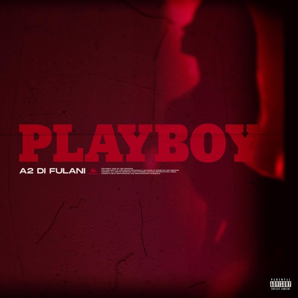 PlayBoy