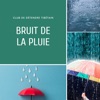 Bruit de la pluie