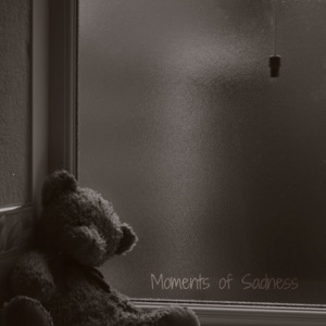 Moments of Sadness - Single