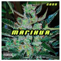 Marihua - Single - Coss