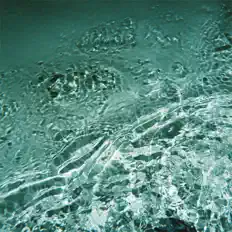 Listen to FREE CHAPEL MUSIC, watch music videos, read bio, see tour dates & more!