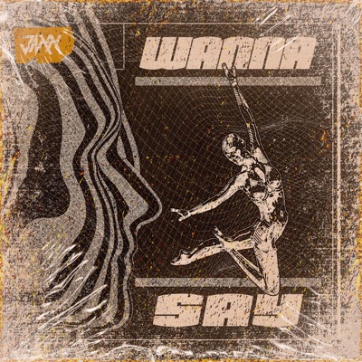 Wanna Say - Single