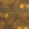 Saints With A Vision - Joy to the World