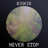 BjoKib Ablum Cover